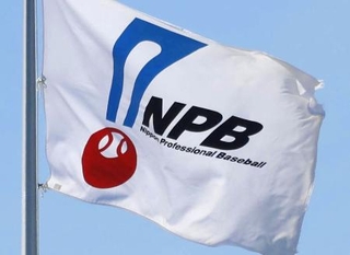 　日本野球機構（ＮＰＢ）の旗