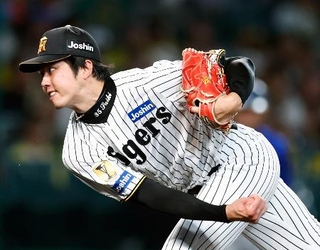 　７回無失点と好投した阪神・才木＝甲子園