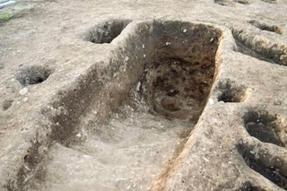 　中畑・古里遺跡で見つかった弥生時代中期末の門柱跡＝６月、滋賀県野洲市