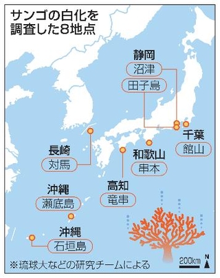 　サンゴの白化を調査した８地点