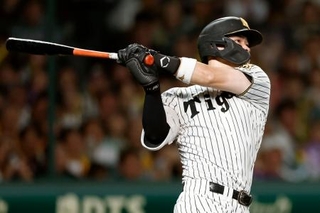 　８回阪神１死一塁、佐藤が右越え２ランを放つ＝甲子園