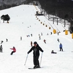 　スキーやスノーボードを楽しむ人たち＝２０２４年１２月、鳥取県大山町