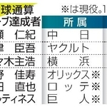 　プロ野球通算２５０セーブ達成者