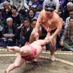 　大の里がはたき込みで大栄翔を下す＝両国国技館
