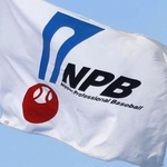 　日本野球機構（ＮＰＢ）の旗