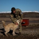 　グリーンランド東部の基地で、犬ぞりパトロール部隊に所属していた犬をなでるデンマーク軍関係者＝２０２５年９月１８日（ロイター＝共同）