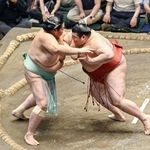 　熱海富士（右）が押し出しで琴桜を破る＝両国国技館