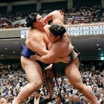 　伯乃富士（右）を攻める大の里。寄り切りで下す＝両国国技館