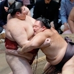 　朝乃山（右）が寄り切りで熱海富士を破る＝両国国技館