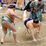 　大の里（右）が突き落としで琴桜に敗れる＝両国国技館
