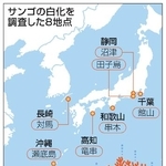 　サンゴの白化を調査した８地点