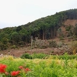 　土砂崩れにより１人が死亡した千葉県鴨川市の現場＝２６日