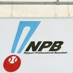 　日本野球機構（ＮＰＢ）の旗＝東京ドーム