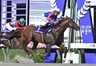 　第３９回マイルチャンピオンシップ南部杯を制した吉原寛人騎乗のメイショウハチロー＝盛岡競馬場