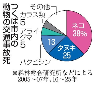 　つくば市内の動物の交通事故死