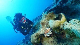 　トルコ南部のケコワ島沖の沈没船発掘調査で見つかった「アンフォラ」と呼ばれるつぼ＝９月（アクデニズ大のハカン・オニズ准教授提供・共同）