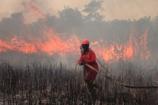 　インドネシアのスマトラ島で、森林火災の消火活動をする消防隊員＝９月１２日（ゲッティ＝共同）