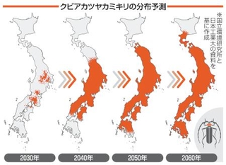 　クビアカツヤカミキリの分布予測