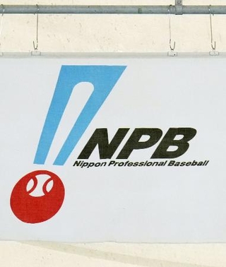 　日本野球機構の旗＝東京ドーム