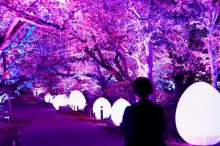 　内覧会が開かれた野外アート展「チームラボ福岡城跡光ノ祭」＝２８日、福岡市