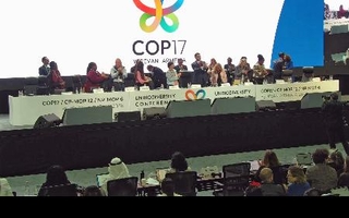 　アルメニアの首都エレバンで開かれたＣＯＰ１７の会合。最終日に合意文書を採択した＝１０月３０日（国連の中継から）