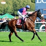 　第１０５回凱旋門賞で１４着だった武豊騎乗のメイショウタバル＝パリロンシャン競馬場（共同）