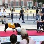 　「ともともフェスタ２０２６」で行われた、補助犬が障害者を手助けする様子のデモンストレーション＝９日午後、ＪＲ東京駅前