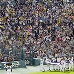 　優勝セレモニーで場内一周する阪神の選手らと声援を送るファン＝６日、甲子園球場