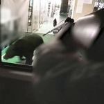 　福島市の工場内を走り回るクマ。手前は麻酔銃を向けるハンター＝６月２日（福島市提供）