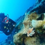 　トルコ南部のケコワ島沖の沈没船発掘調査で見つかった「アンフォラ」と呼ばれるつぼ＝９月（アクデニズ大のハカン・オニズ准教授提供・共同）