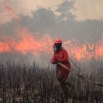 　インドネシアのスマトラ島で、森林火災の消火活動をする消防隊員＝９月１２日（ゲッティ＝共同）