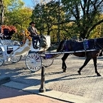 　米ニューヨーク中心部のセントラルパークの観光客向け馬車＝２２日（共同）