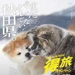 　観光キャンペーン「まだバレてない秋田県。」のポスター
