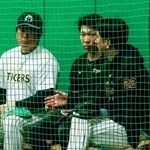 　秋季練習初日に藤川監督（右）、安藤コーチ（左）と話し合う阪神・石井＝兵庫県西宮市