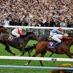 　第８７回菊花賞を制した武豊騎乗のゴーイントゥスカイ（右手前）＝京都競馬場
