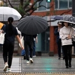 　傘を差してＪＲ熊本駅前の横断歩道を渡る人たち＝２６日午前、熊本市