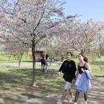 　ウクライナ・キーウの「京都公園」＝２０２４年４月（共同）