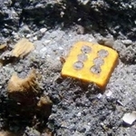 　鎌倉時代の元寇船から見つかったサイコロのような物＝２１日、長崎県松浦市の鷹島沖（松浦市教育委員会提供）
