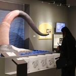 　国立科学博物館の特別展「生きものたちの性」＝３０日午後、東京・上野