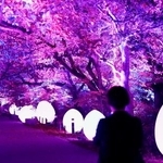 　内覧会が開かれた野外アート展「チームラボ福岡城跡光ノ祭」＝２８日、福岡市
