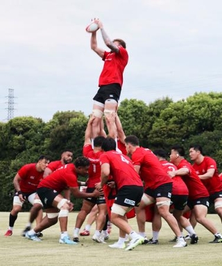　ＦＷ練習でラインアウトの練習をする選手たち＝東京都府中市