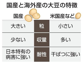 　国産と海外産の大豆の特徴