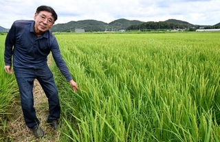 　２０日、韓国・坡州の自身の水田で取材に応じる沈炯輔さん（共同）