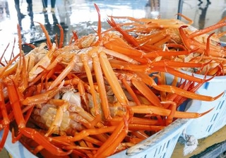 　競り落とされたベニズワイガニ＝２０２４年９月日、富山県射水市の新湊漁港