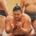 　稽古を再開した朝乃山＝東京都墨田区の高砂部屋