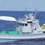 　サンゴを密漁していた漁船＝７月（長崎海上保安部提供）
