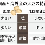 　国産と海外産の大豆の特徴