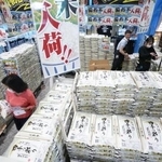 　政府が随意契約で放出した備蓄米を買い求める人＝６月、東京都大田区