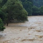 　大雨で増水し濁流となった秋田県仙北市の桧木内川＝２０日午後０時半ごろ
