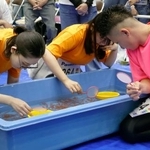 　奈良県大和郡山市で開催された、全国金魚すくい選手権大会＝２４日午後